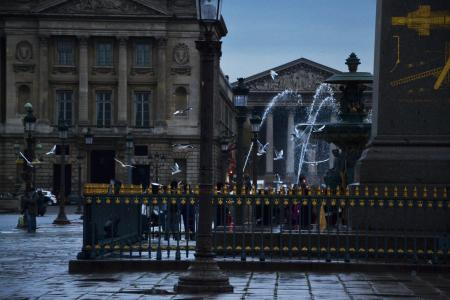 喷泉, 巴黎, 康科德, 水, 艺术, 雕像, 城市