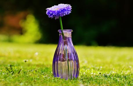 花瓶, 玻璃, 花, 装饰, 紫色, 透明, 德科