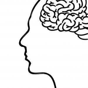 头, 脑, 思想, 人类的身体, 脸上, 心理学, 浓度