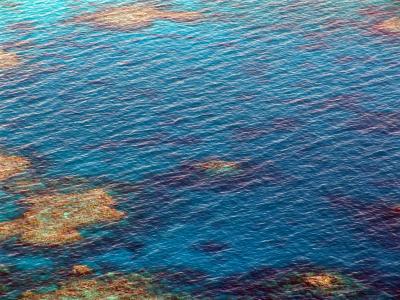 大堡礁, 跳水, 珊瑚, 海洋, 太平洋, 鸟瞰图, 澳大利亚