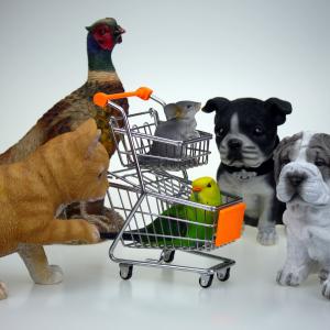 购物, 商店, 动物, 业务, 购物篮