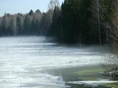 湖, 雾, 解冻