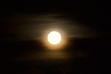 月亮, 月光, 气氛, 神秘, 心情, 令人沮丧, 满月