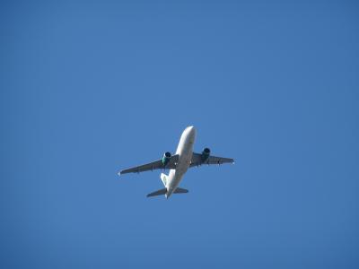 平面蓝天, 旅客机, 开始, 离开, 航空, 航空公司, 翼