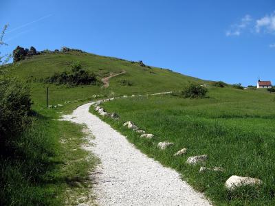 草甸, 走了, 桌山, 山, 瑞士法兰克, walberla