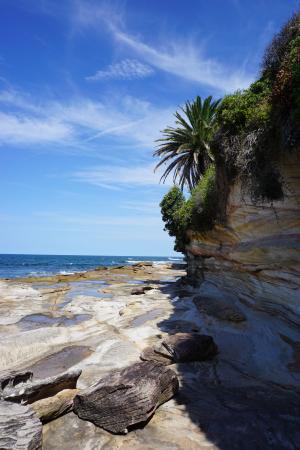 自然, 海滩, 克罗纳拉, 澳大利亚, 蓝色, 天空, 热带