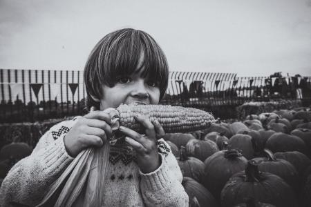 儿童, 男孩, 孩子, 吃, 玉米, 10 月, 农场