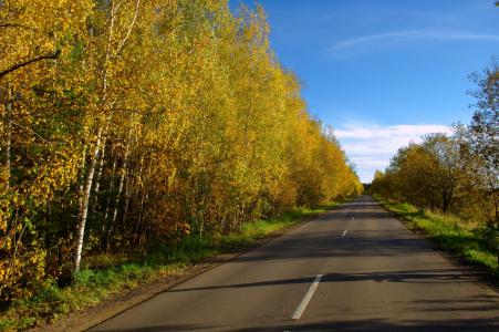 道路, 沥青, 运输, 一个空, 秋天, 黄色, 阴影