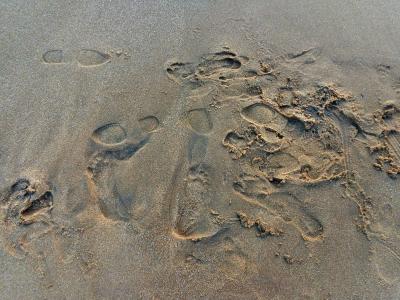 脚, 打印, 海, 沙子, 海滩, 足迹, 海岸