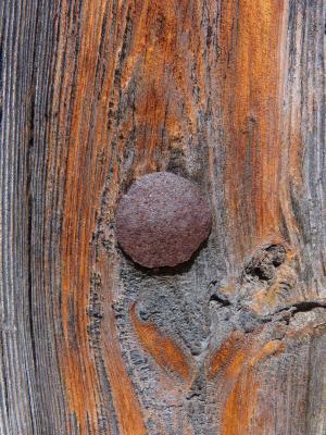 门, 钉子, 纹理, 老木, 木材-材料, 背景, 棕色