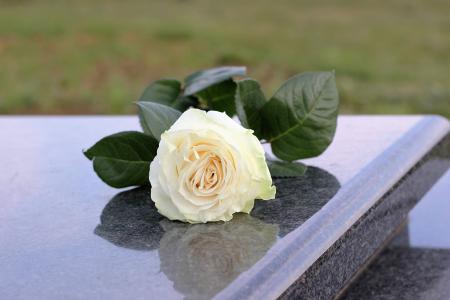 白玫瑰, 纯度, 灰色大理石, 墓碑, 坟墓