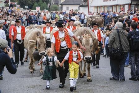 牲畜市场, 的奶牛, 阿彭策尔, 瑞士, 在传统的, 人, 人群