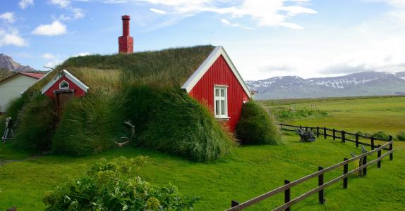 冰岛, bordafjordur, 屋面, 草