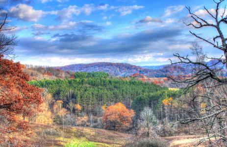 森林, 威斯康星州, 秋天, 树木, 自然, 天空, 颜色