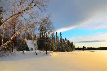 冬季景观, 树木, 桦木, 雪, 冰, 结冰的湖面, 自然