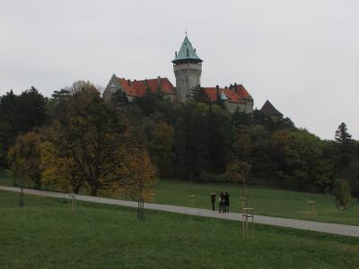 smolenice, 斯洛伐克, 城堡, 森林