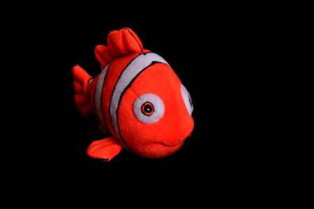 小丑鱼, 锦鲤鱼, 鱼枕, 玩具, 海底总动员, 红色