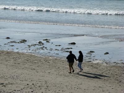 海滩, 海边, 行走, 夫妇, 夏季, 沙子, 水