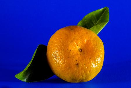 橙色, 普通话, 柑橘类水果