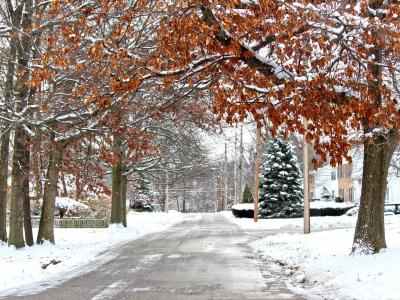 冬天, 雪, 道路, 冰, 和平, 安静, 冻结