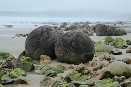 巨石, 摩埃拉奇, koekohe 海滩, 海, 自然, 岩石, 新西兰