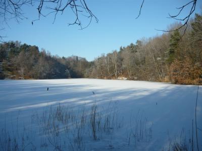 冬天, 景观, 湖, 冰, 结冰的湖面, 田园, 自然