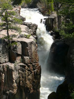 阿萨巴斯卡瀑布, 落基山, 加拿大, 旅游景点, 景观, 风光, 自然