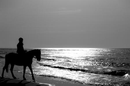 马, 跳线, 海, 海滩