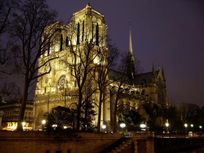 巴黎圣母院, 巴黎, 法国, 欧洲, 晚上, 城市, 大教堂