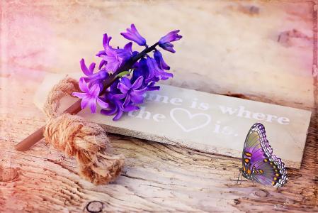 风信子, 紫色, 花, 香美的鲜花, 春天的花朵, 香, 盾牌