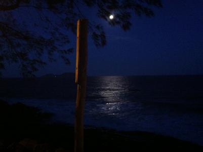 月光, 海洋, 晚上, 海, 自然, 水, 亮度