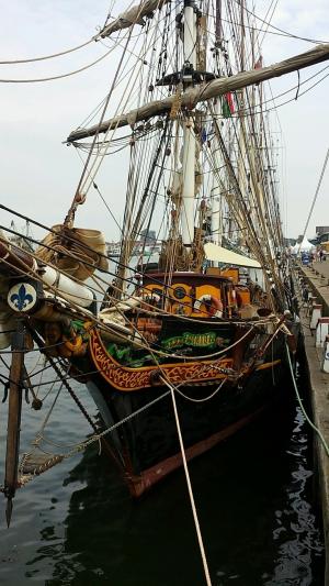 ijmuiden, 帆船, 法国百合