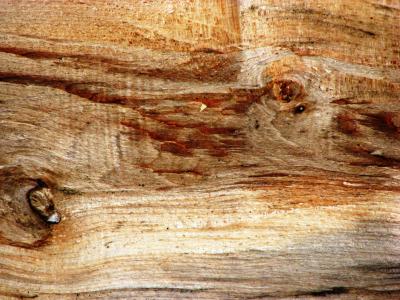 木材纹理, 背景, 木材, 结构, 棕色, 粮食