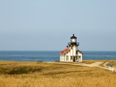 灯塔, 加利福尼亚海岸, 太平洋海岸, 具有里程碑意义, 灯塔, 海, 海岸线
