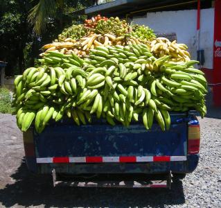 香蕉, 车前草, 卡车, 巴拿马, 食品, 水果, 黄色