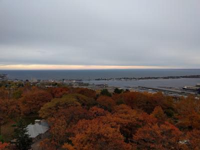 德卢斯, 明尼苏达州, 秋天, 秋天, 树木, 自然, 叶子