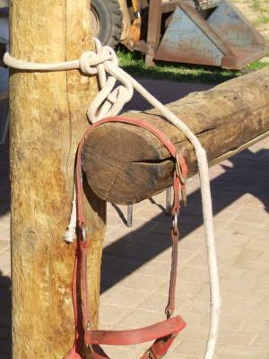 栅栏, 绑定, 绳子, 木材, 股份