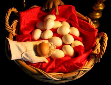 鸡蛋, 购物篮, 鸡, 鸟, 柳条, 白色, 棕色