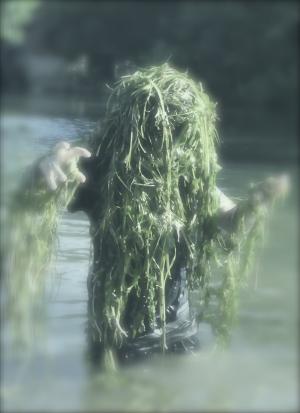 水精灵, 水瓶座, 海藻, 海怪, 水生植物, 有趣, 精神