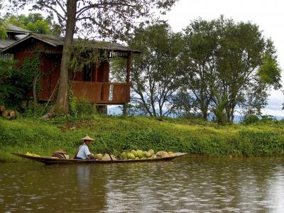 独木舟, 缅甸, 湖, 茵莱湖, 水