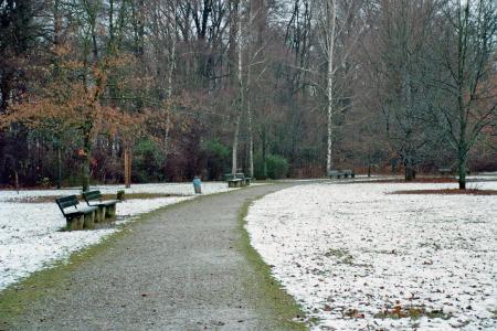 公园, 走了, 远足, 公园, 树, 自然, 冬天