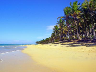 多米尼加共和国, 蓬塔卡纳, 海滩, 椰子树, 沙子, 海岸, 假日