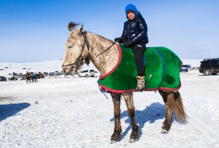 蒙古, 冬天, 孩子, 男孩, 马, 感冒, 骑马