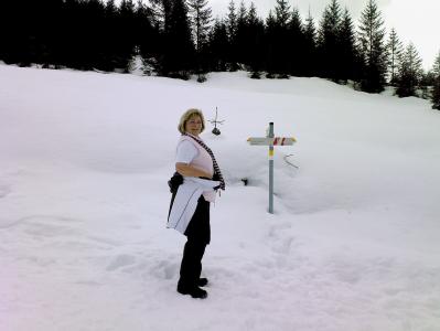 雪, 冬季徒步旅行, 莉莉, kleinwalsertal, 山, 冬天, 首脑会议