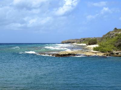 海滩, 加勒比海, 荷属安的列斯群岛, 沙滩, 岩石, abc 群岛, 库拉索岛
