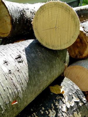 木材, 日志, 木柴, 切, 干, 堆栈, 堆叠