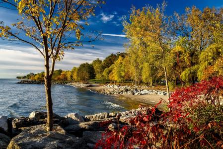 安大略湖, 加拿大, hdr, 秋天, 秋天, 叶子, 海岸
