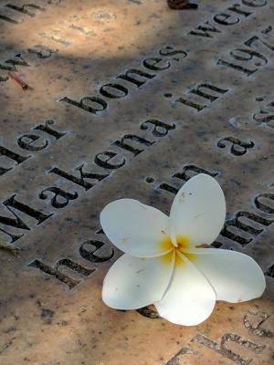 鸡蛋花, 坟墓, 毛伊岛