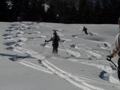 滑雪, 滑雪者, 离开, 厚厚的积雪, 跑道, 冬天, 感冒