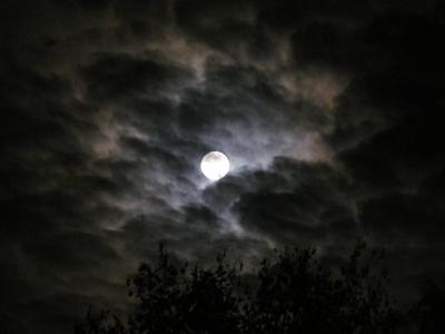 月亮, 月光, 晚上, 天空, 傍晚的天空, 云彩, 黑暗